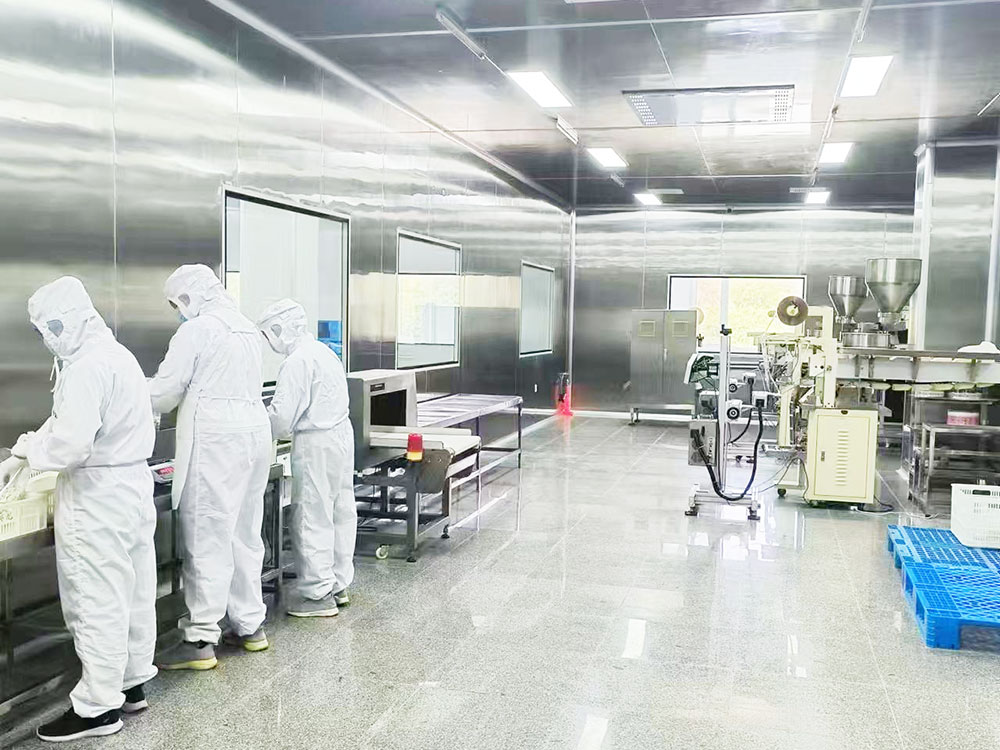 10萬(wàn)級(jí)凈化車(chē)間